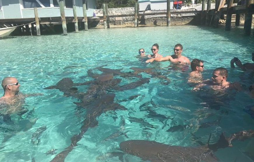 Exuma Day Away – Original Swimming Pigs Excursion