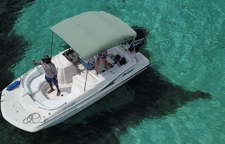 Private Luxury Rose Island,Pigs,Snorkeling,Turtles Half-Day Charter