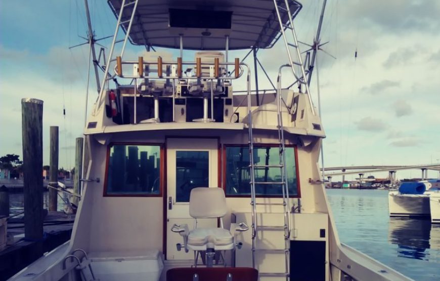 Sunshine Charters