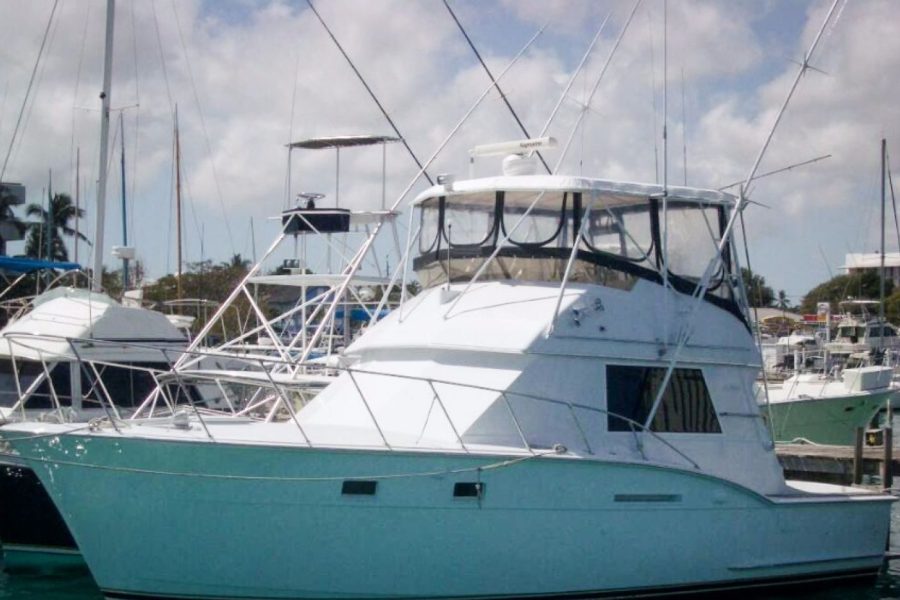 Hunter Charters – 38’ Mornin’ Ride