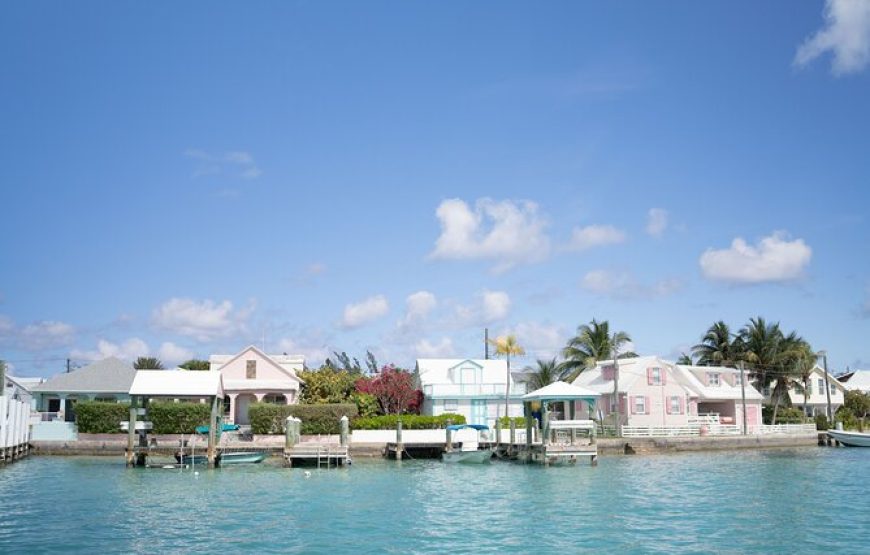 Full-Day Eleuthera Adventure Swimming Pigs & Turtles from Nassau