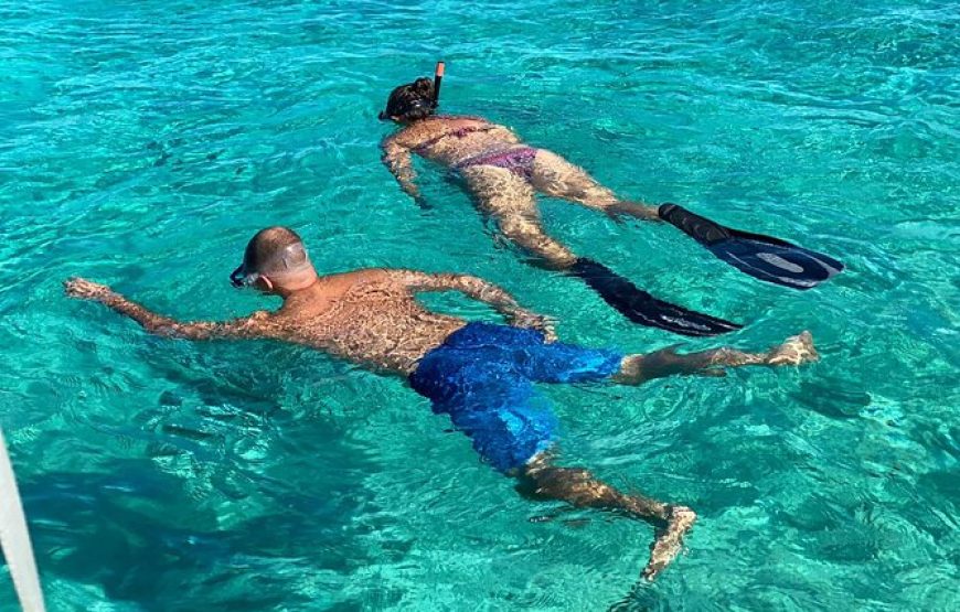 Full-Day Eleuthera Adventure Swimming Pigs & Turtles from Nassau